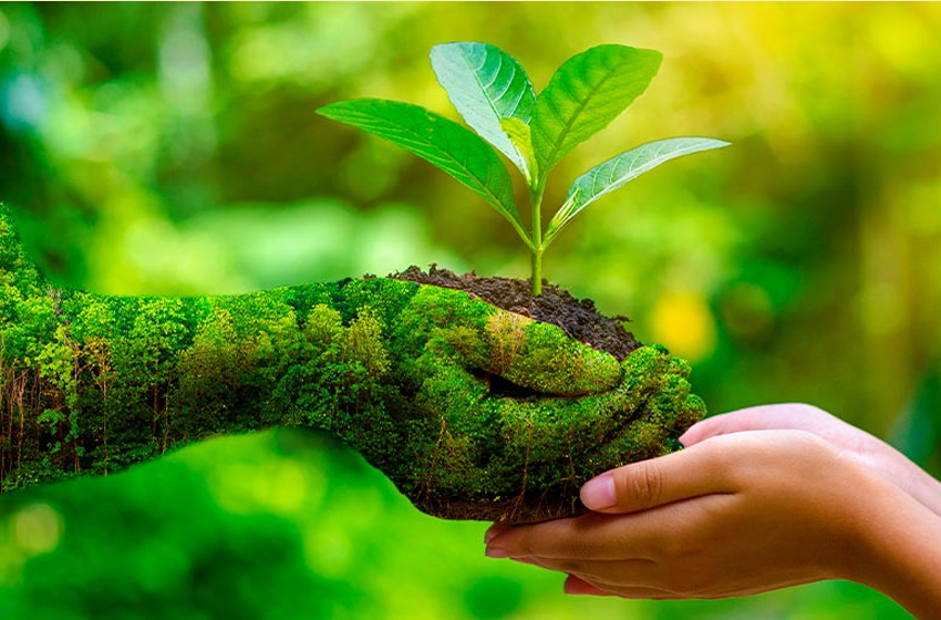 Etika Lingkungan pada Antroposen: Melestarikan Alam untuk Generasi Mendatang